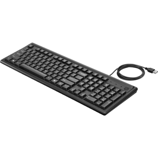 TECLADO HP 100 CON CABLE USB
